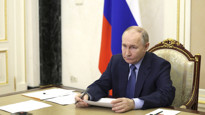 Нельзя допускать беспредела с изъятием детей опекой: Путин указал на чувствительный момент