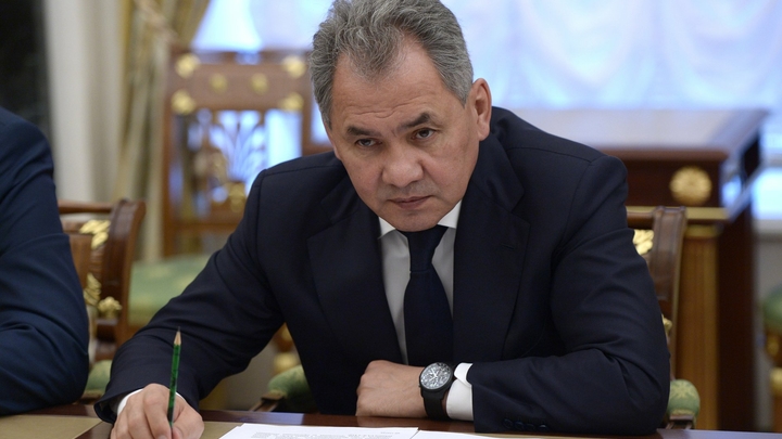 "Даже за границей": Шойгу придумал способ наказать вандалов, оскверняющих памятники ВОВ "Даже за границей": Шойгу придумал способ наказать вандалов, оскверняющих памятники ВОВ