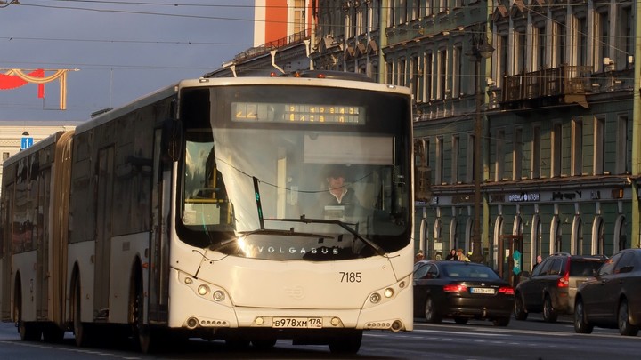 В Петербурге введут новый автобусный маршрут №239 – он соединит пять районов