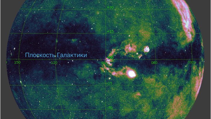 Ужас и трепет: Американцы нашли голую чупакабру на снимках Google Street View