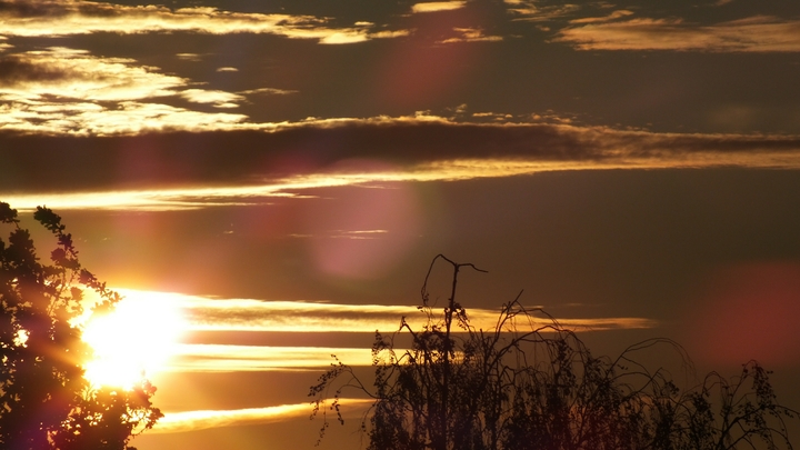 Как уберечь себя от солнечного ожога: Риск сгореть есть даже в городе