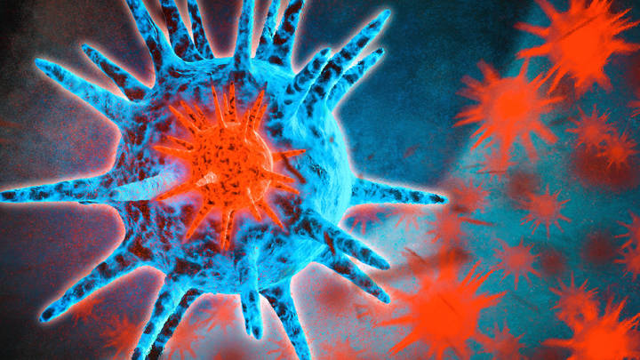 В провинциях Китая выявлен новый вид генипавируса — учёные назвали все симптомы заболевания