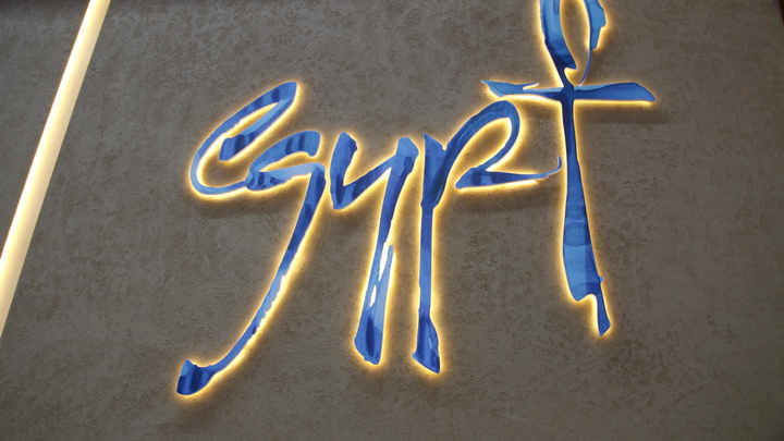 Роспотребнадзор усилит контроль за рейсами из Египта из-за возникновения неизвестной болезни