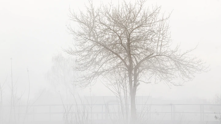 После пожара на Пермском пороховом заводе проверяют загрязнение воздуха