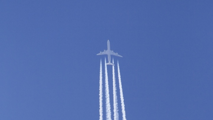 В Грузии, вопреки недовольству президента, готовы к прямым рейсам из России