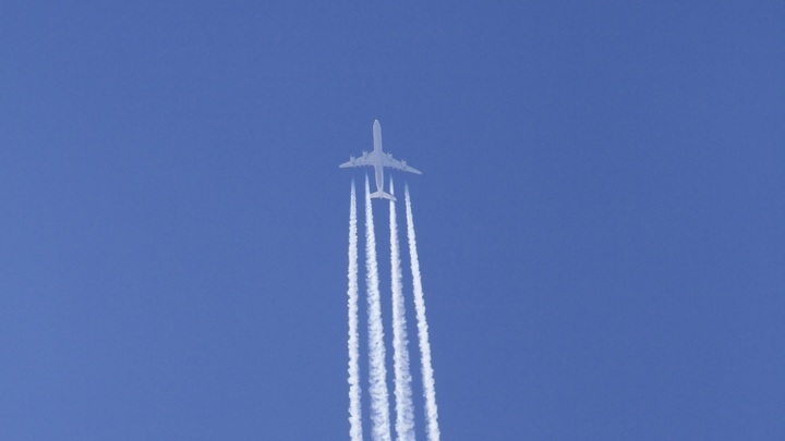 Депутаты бросились с кулаками друг на друга из-за русского борта в Тбилиси