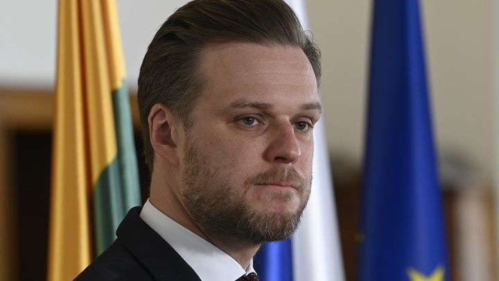 Глава МИД Литвы потребовал аннулировать шенгенские визы граждан России. Все