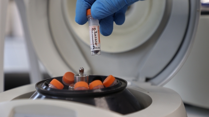 Онколог Игорь Самойленко объяснил ценность открытия перерождения здоровых клеток в раковые