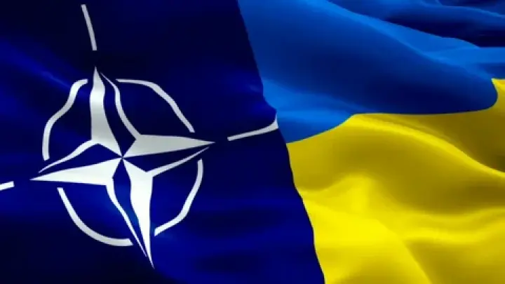 Западные страны отказываются признавать стратегическую слепоту: В США выяснили, что привело к украинскому конфликту