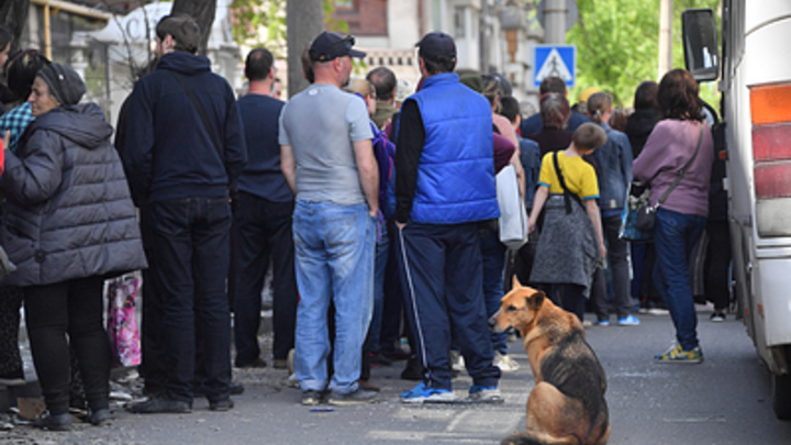 В Мариуполе задержали девушку при попытке совершить теракт на референдуме