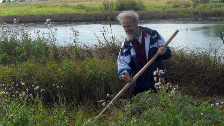 Народные приметы на Кириллов день 22 июня: налегаем на землянику в день летнего солнцестояния