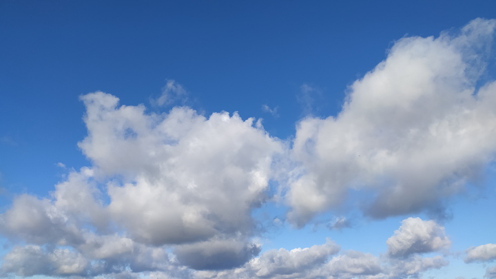 Пропавшая на Урале подполковник ГУФСИН в отставке найдена мертвой