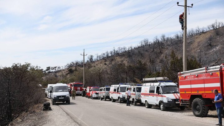 Лес горел три дня: мегапожар под Новороссийском полностью потушили