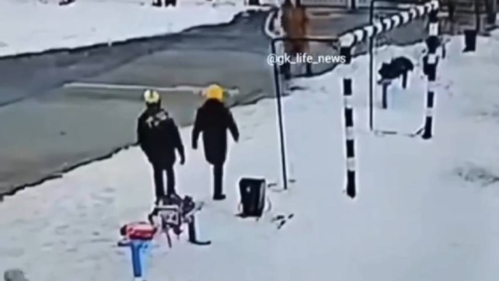 Кинулась на чужого ребёнка: женщина защитила дочь кулаками