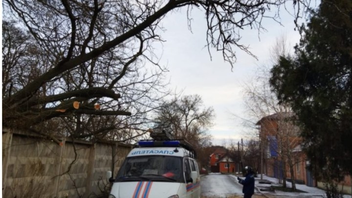 Упали ёлки, снесло крышу, разбились окна: Последствия ураганного ветра в Ростове 14-15 января
