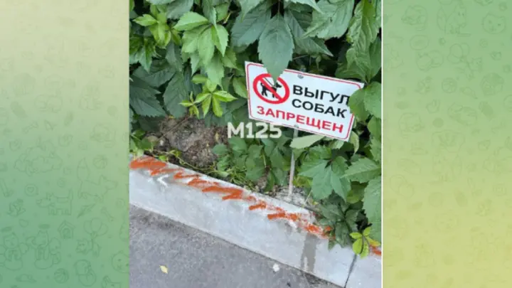 Москвичи нашли новый способ борьбы с выгулом питомцев