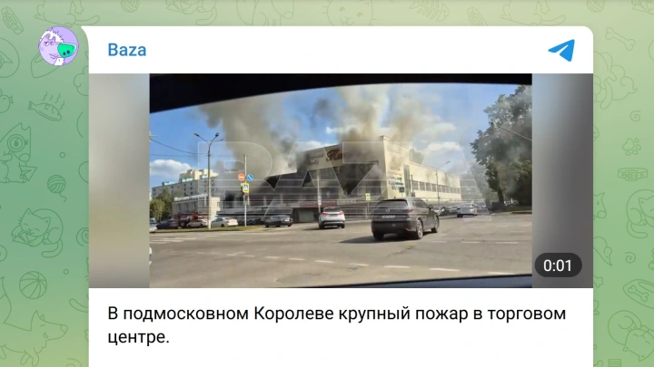 Крупный пожар в ТЦ Пионер в Подмосковье попал на видео