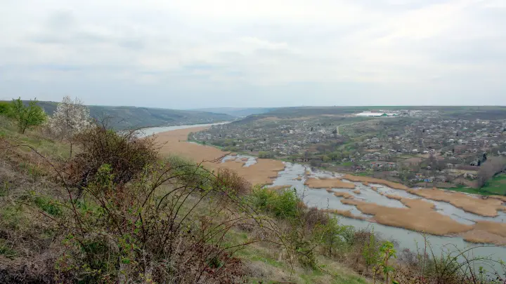 Коля с Уренгоя и русофобия: Новые учебники называют вторжение гитлеровских войск освобождением