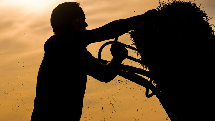 Зерновая сделка - продление на фоне скандала. Почему молчит Россия