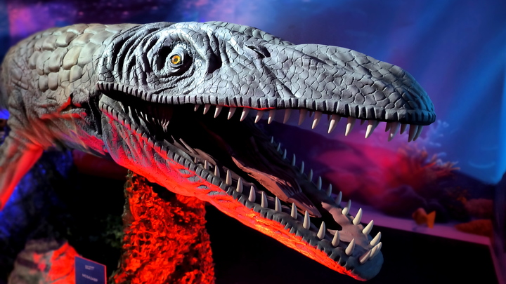 Газ на дне и затонувшие брёвна. Как родился миф о чудище озера Бросно, отпугнувшем монголо-татар