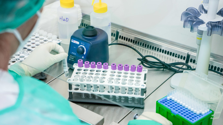 Грузинские биолаборатории Пентагона изучали коронавирус ещё в 2012 году: Результаты расследования