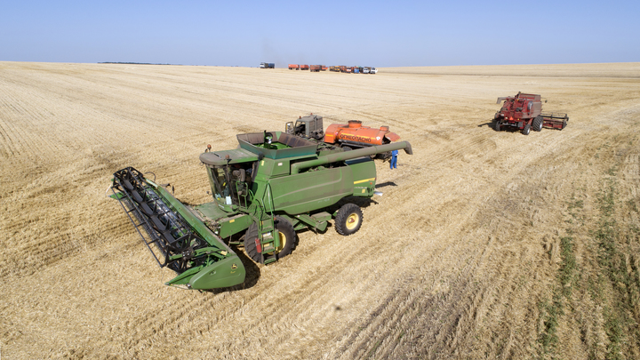 Цены, стой, раз, два! Хазин разложил по полочкам: Почему дорожает хлеб? Объясняю…