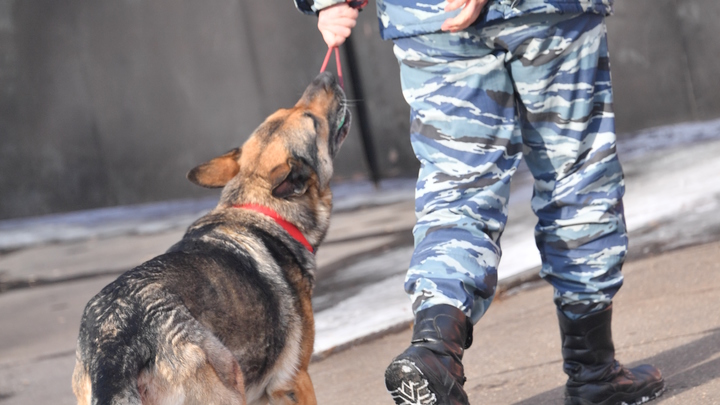 В Сочи эвакуировали посетителей ЦУМа