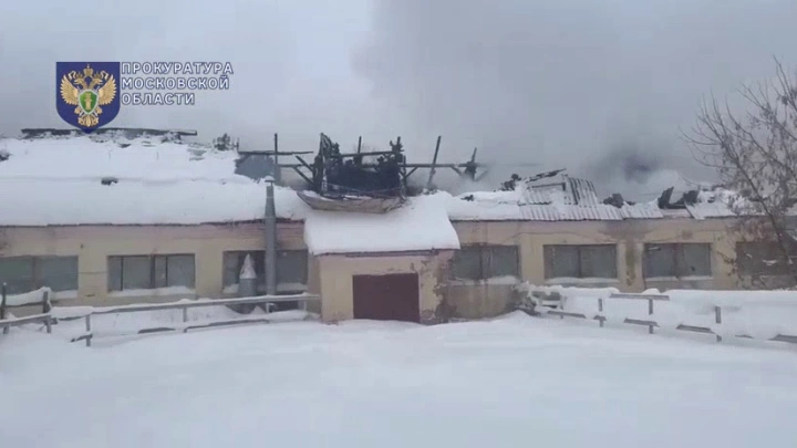 МЧС: из горящей конюшни в Подмосковье эвакуировали почти 50 лошадей