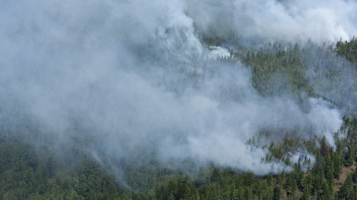 Возле Челябинского тракта в Свердловской области загорелся лес