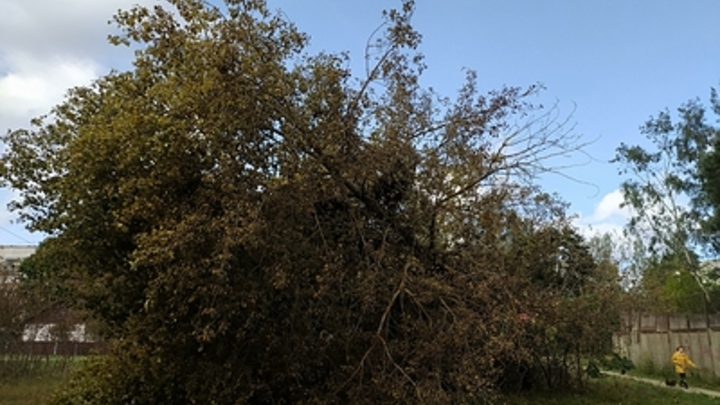 Внезапно появившийся смерч испугал жителей Крыма - есть повреждения