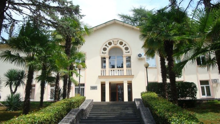 В Сочи санатории «Родина» и «Золотой Колос» взяли под охрану