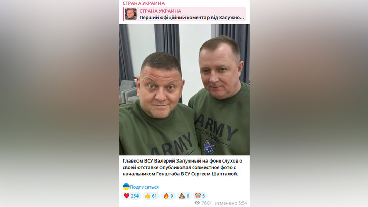 Залужного отправили в отставку с поста главы ВСУ: что пишут об этом СМИ