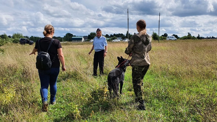 Пропавшего в Ивановской области ребенка ищут с собаками