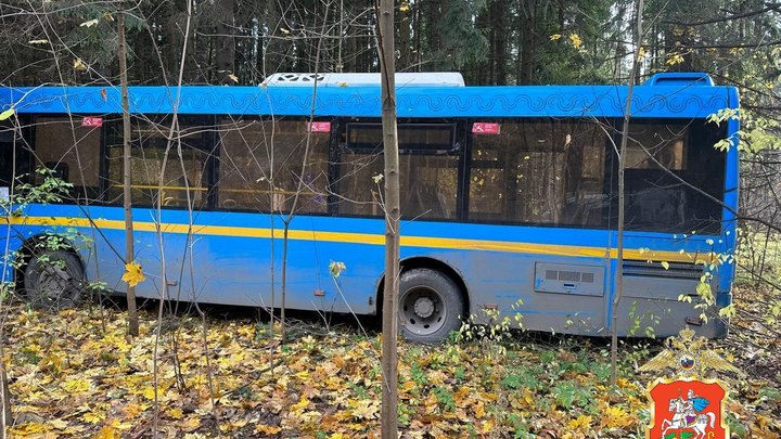 Автобус въехал в лес в Мытищах
