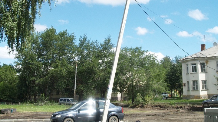 Жителей Ростова беспокоит дерево, которое может оборвать электрические провода