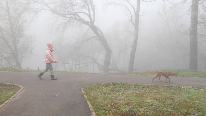 На Кубани в начале недели ожидается туманная и ветреная погода
