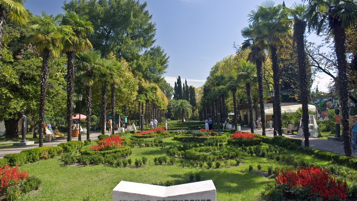 В новое переиздание Красной книги России вошли 98 редких обитателей нацпарка Сочи