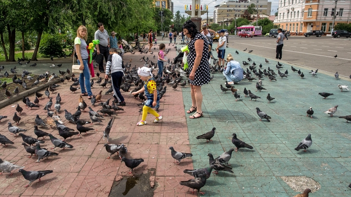 Забайкальцы выбрали 500 героев в рамках проекта «Герои. Победы. Будущее»