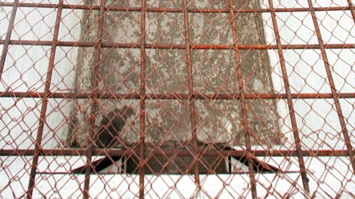 Весна: Гражданка России задержана по делу о клевете на Лукашенко