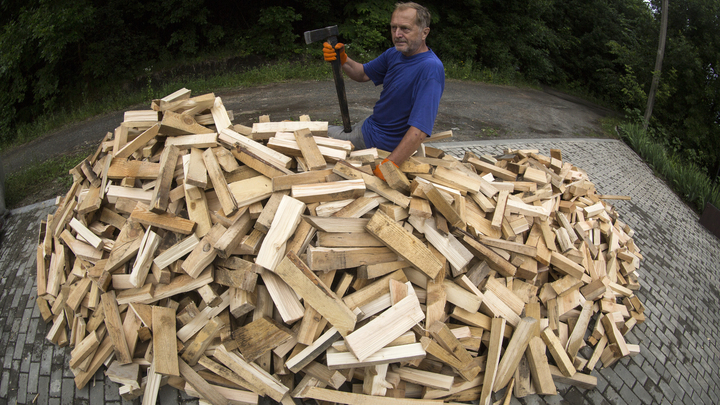 На Кубани осудили группу «черных лесорубов», которые спилили 140 деревьев на 28 млн рублей