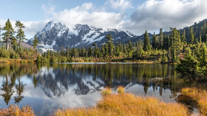 Колоссальное количество: Бедную биомассой Америку насытили безглазые черви. Учёные удивлены