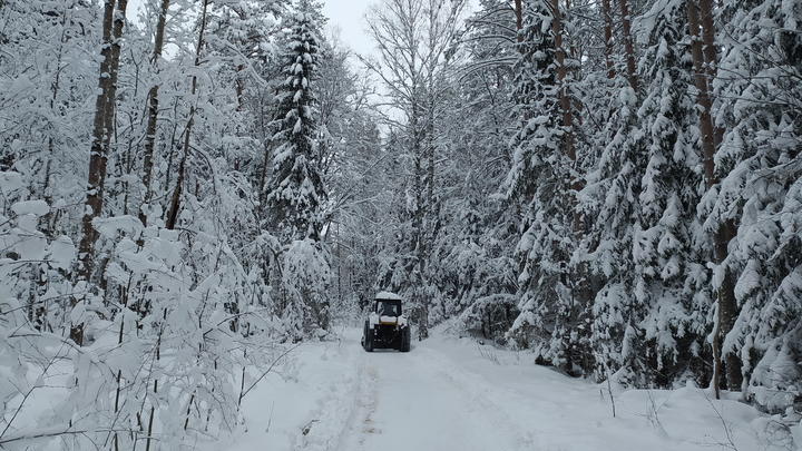 На подъезде к Сочи сильный снегопад парализовал движение на единственной федеральной трассе