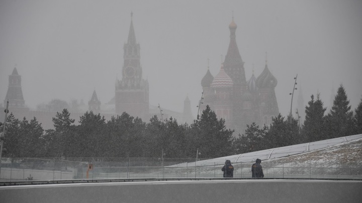 Товарищ правительство!: Политобозреватель обратился к чиновникам с прямой просьбой о предателях