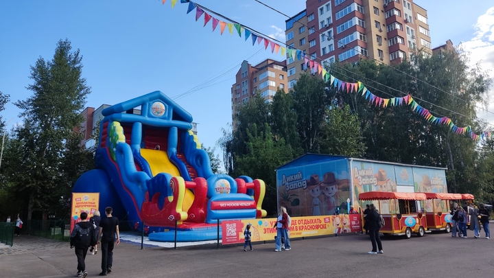 В Красноярске микроавтобус сбил девочку полутора лет на глазах у её мамы