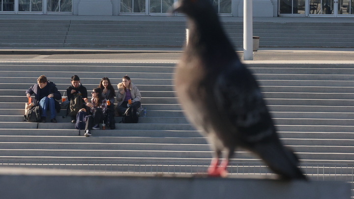 Родители без компетенций? Учёные по-своему объяснили негативный тренд в демографии
