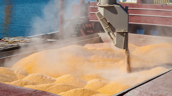 Зерновая сделка? Забудьте. Мы не ведём переговоров с жуликами