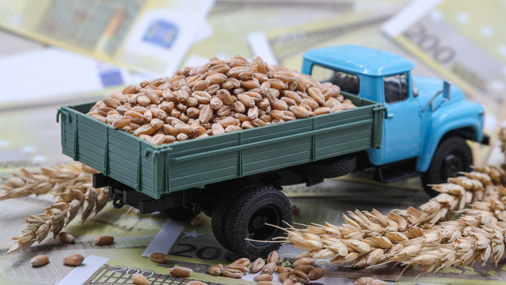 Россию щёлкнули по носу: Киеву удалось унизить Москву