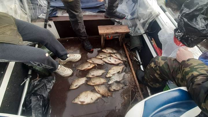 Браконьеры оккупировали водоемы Самарской области Браконьеры оккупировали водоемы Самарской области