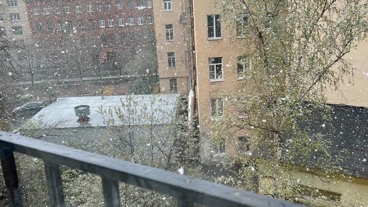 Первые заморозки зафиксированы в Петербурге: ночью температура опустилась в минус