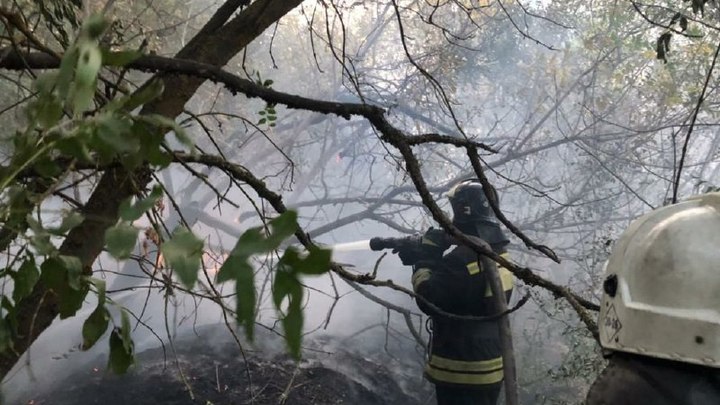 Спустя сутки в Ростовской области ликвидирован крупный ландшафтный пожар